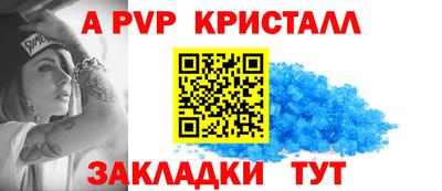 гашик Кингисепп