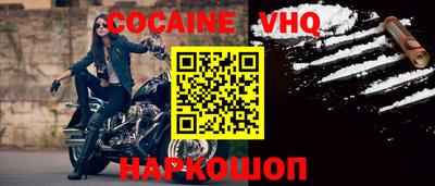 гашик Кингисепп