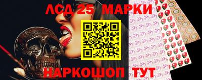 гашик Кингисепп