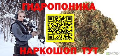 гашик Кингисепп