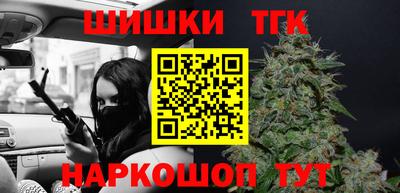 гашик Кингисепп