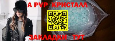 гашик Кингисепп