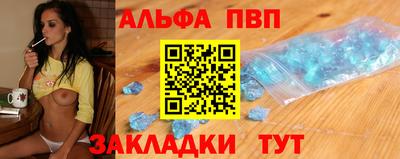 гашик Кингисепп