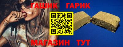 гашик Кингисепп