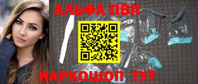 гашик Кингисепп