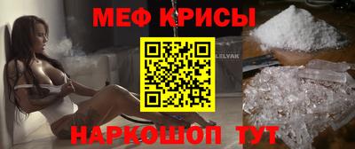 гашик Кингисепп