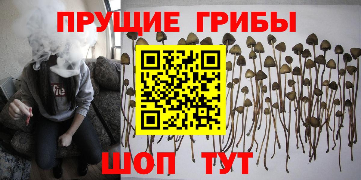 Горячий Ключ  Псилоцибиновые грибы прущие грибы  Вход с VPN 